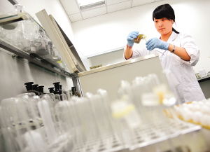 天津科技小巨人三年計(jì)劃 引領(lǐng)科技型中小企業(yè)蓬勃發(fā)展